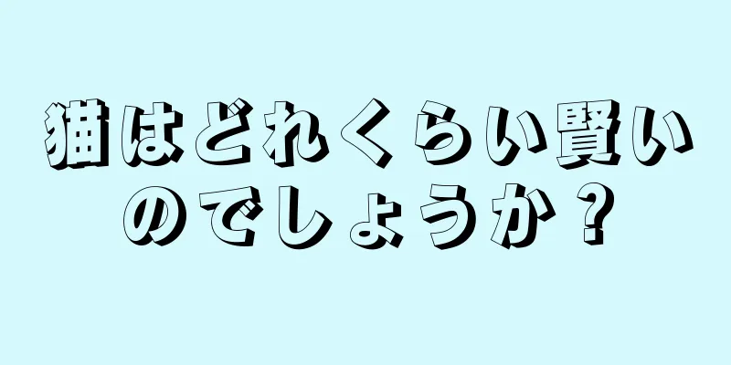 猫はどれくらい賢いのでしょうか？