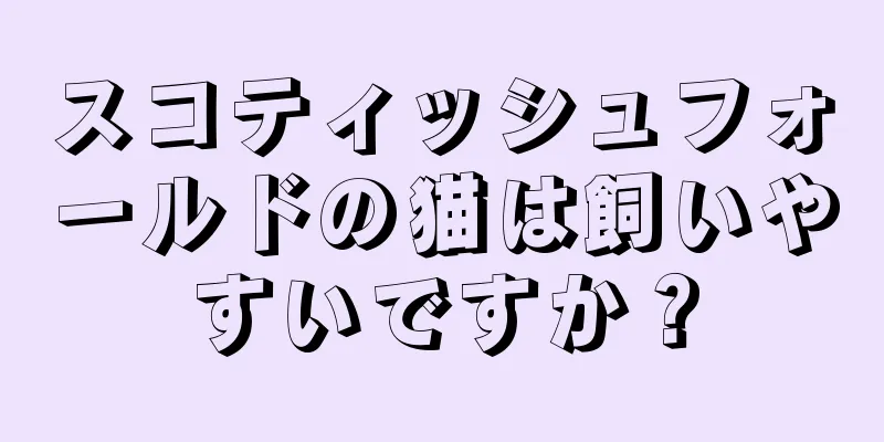 スコティッシュフォールドの猫は飼いやすいですか？