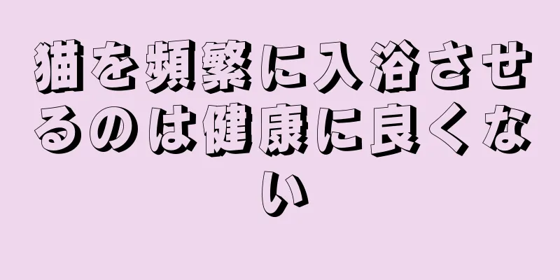 猫を頻繁に入浴させるのは健康に良くない