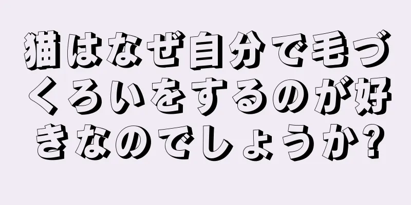 猫はなぜ自分で毛づくろいをするのが好きなのでしょうか?