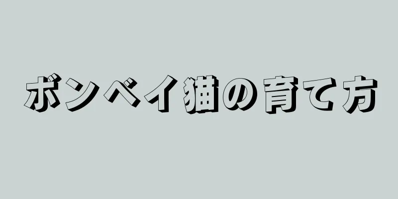 ボンベイ猫の育て方