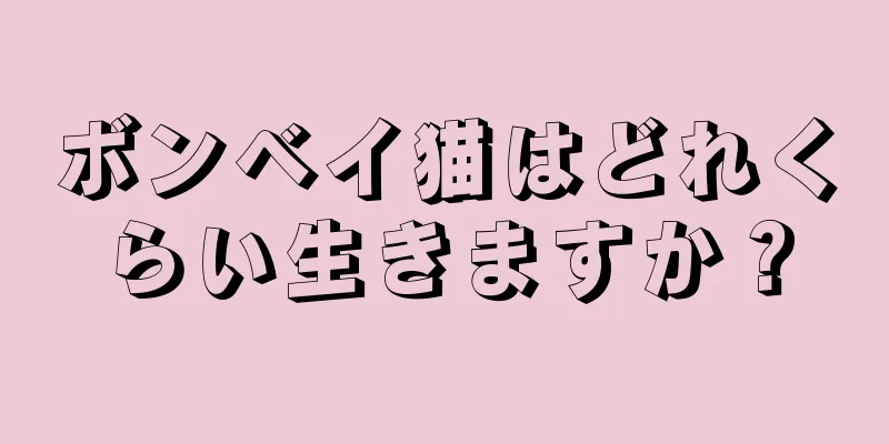 ボンベイ猫はどれくらい生きますか？