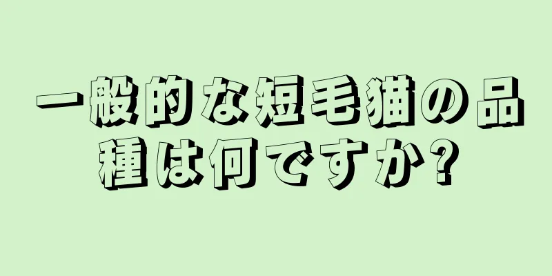 一般的な短毛猫の品種は何ですか?