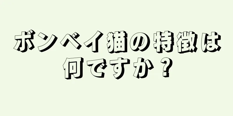 ボンベイ猫の特徴は何ですか？