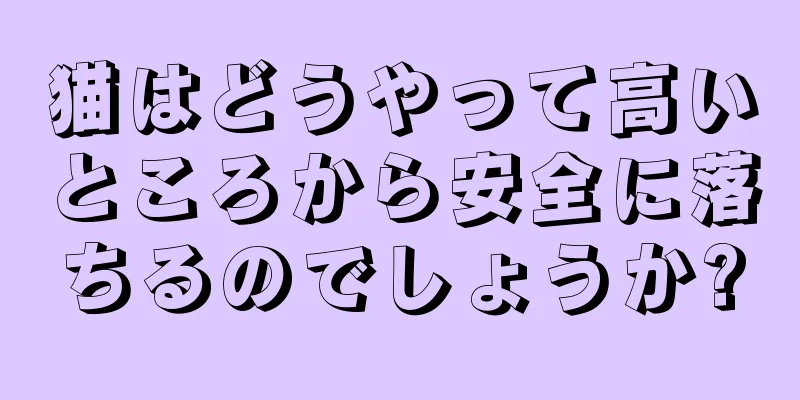 猫はどうやって高いところから安全に落ちるのでしょうか?