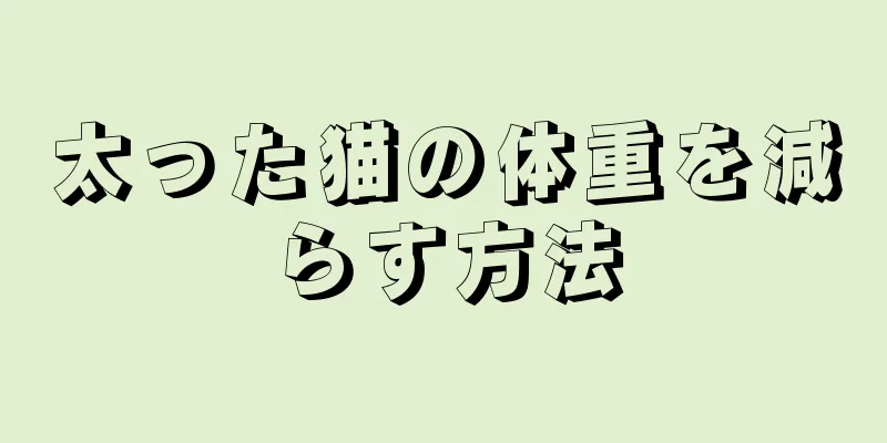 太った猫の体重を減らす方法