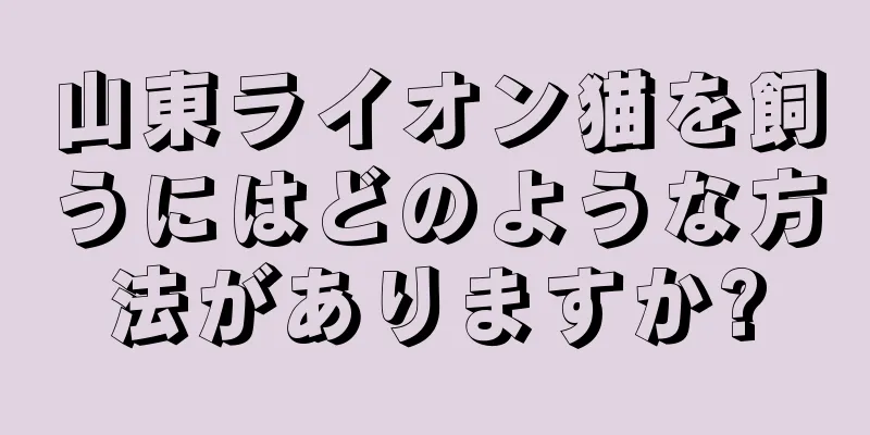 山東ライオン猫を飼うにはどのような方法がありますか?
