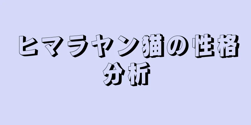 ヒマラヤン猫の性格分析