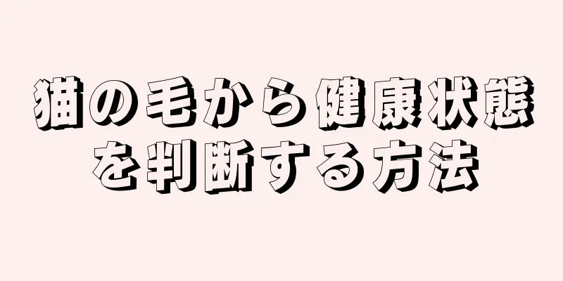 猫の毛から健康状態を判断する方法