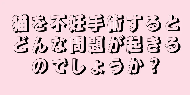 猫を不妊手術するとどんな問題が起きるのでしょうか？