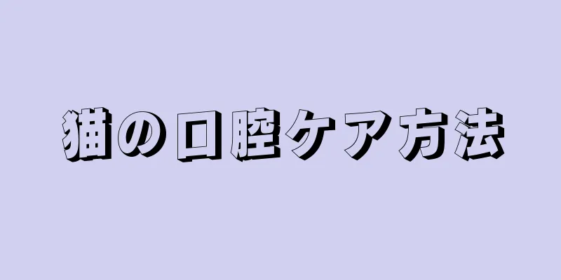猫の口腔ケア方法