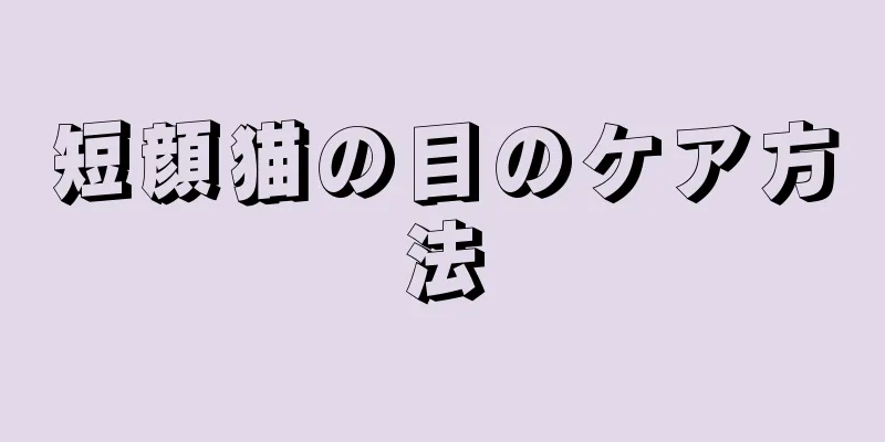 短顔猫の目のケア方法