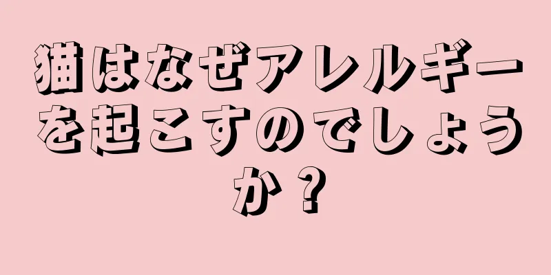 猫はなぜアレルギーを起こすのでしょうか？