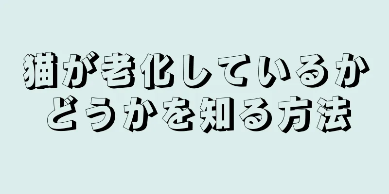 猫が老化しているかどうかを知る方法