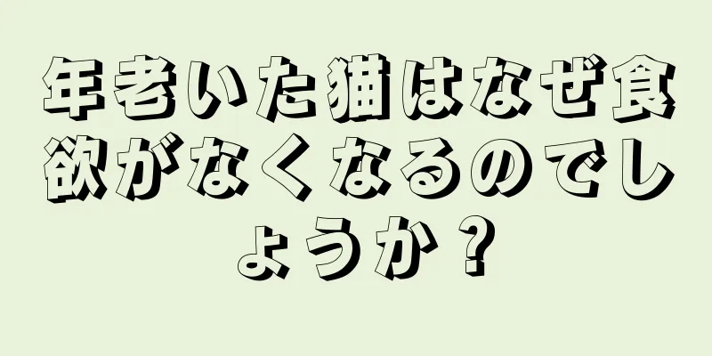 年老いた猫はなぜ食欲がなくなるのでしょうか？