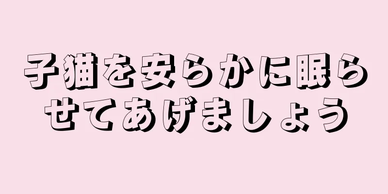 子猫を安らかに眠らせてあげましょう