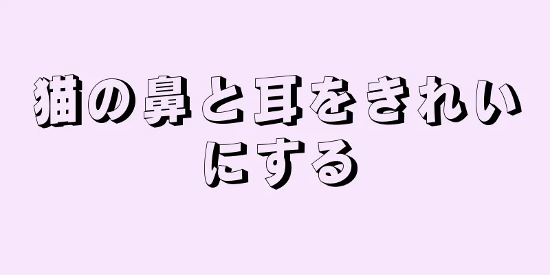 猫の鼻と耳をきれいにする