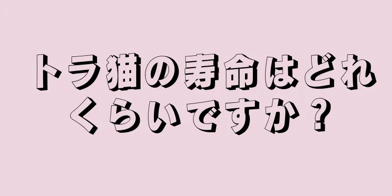 トラ猫の寿命はどれくらいですか？