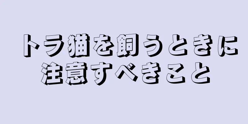 トラ猫を飼うときに注意すべきこと