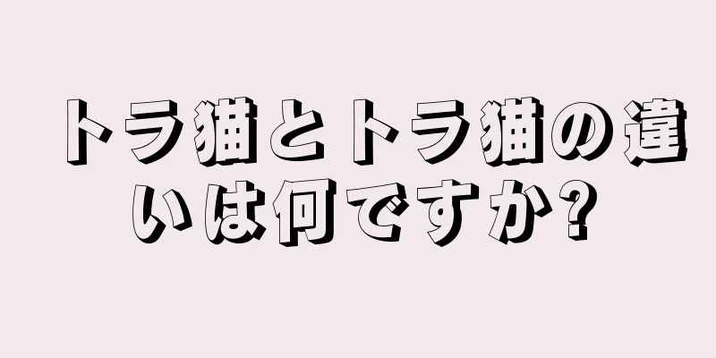 トラ猫とトラ猫の違いは何ですか?