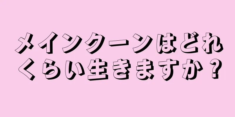 メインクーンはどれくらい生きますか？