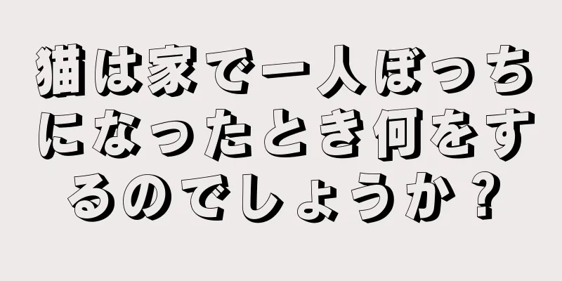 猫は家で一人ぼっちになったとき何をするのでしょうか？