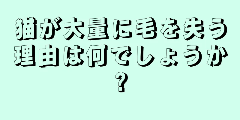猫が大量に毛を失う理由は何でしょうか?