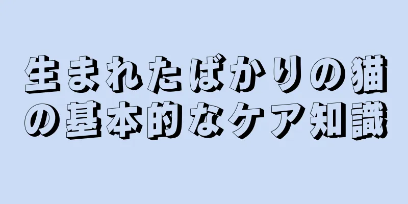 生まれたばかりの猫の基本的なケア知識