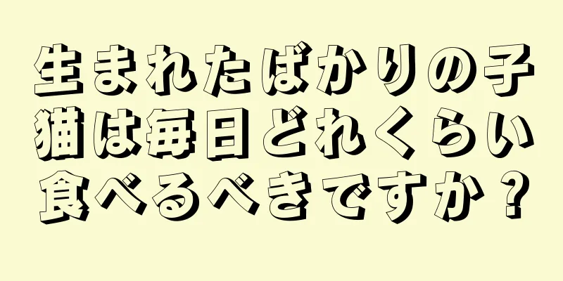 生まれたばかりの子猫は毎日どれくらい食べるべきですか？