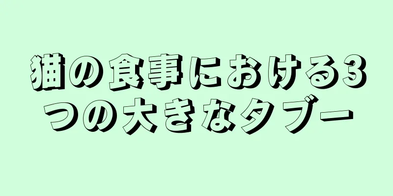 猫の食事における3つの大きなタブー