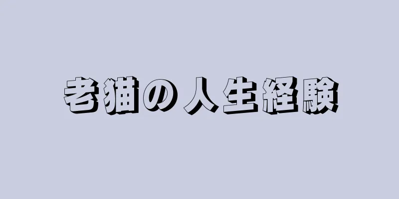 老猫の人生経験