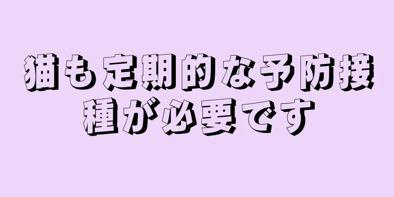 猫も定期的な予防接種が必要です