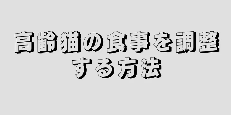 高齢猫の食事を調整する方法