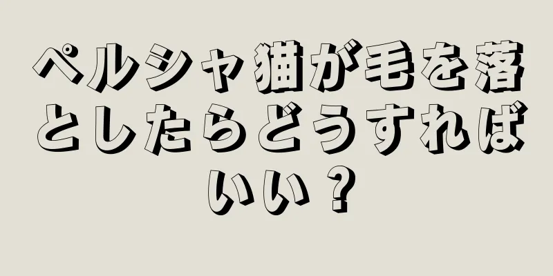 ペルシャ猫が毛を落としたらどうすればいい？