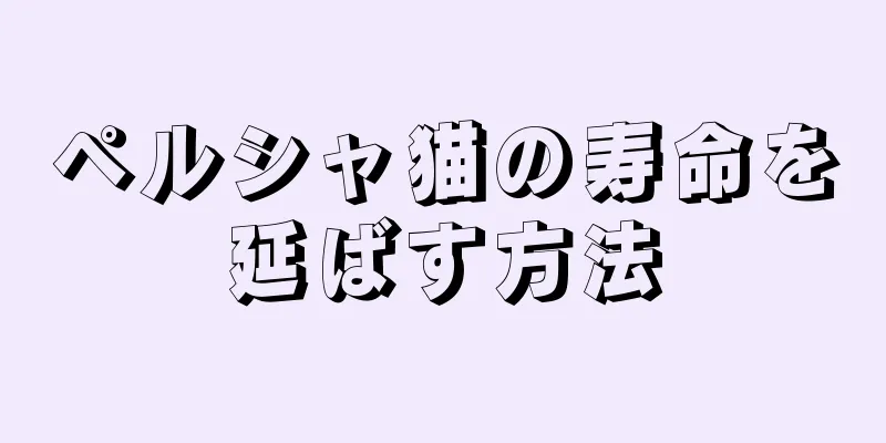 ペルシャ猫の寿命を延ばす方法