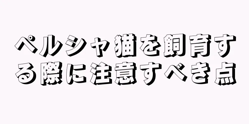 ペルシャ猫を飼育する際に注意すべき点