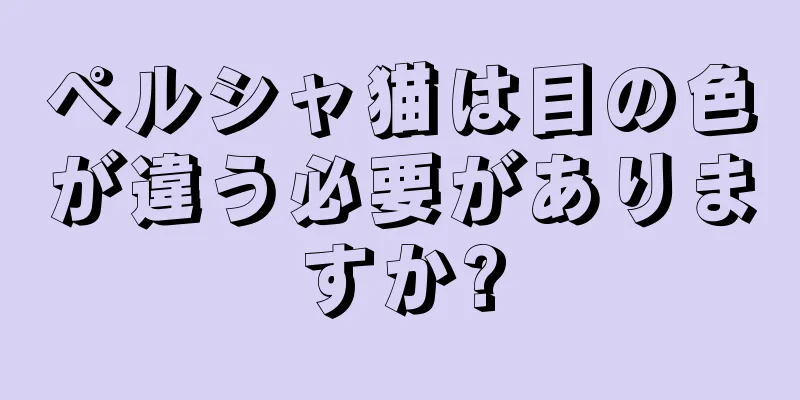 ペルシャ猫は目の色が違う必要がありますか?