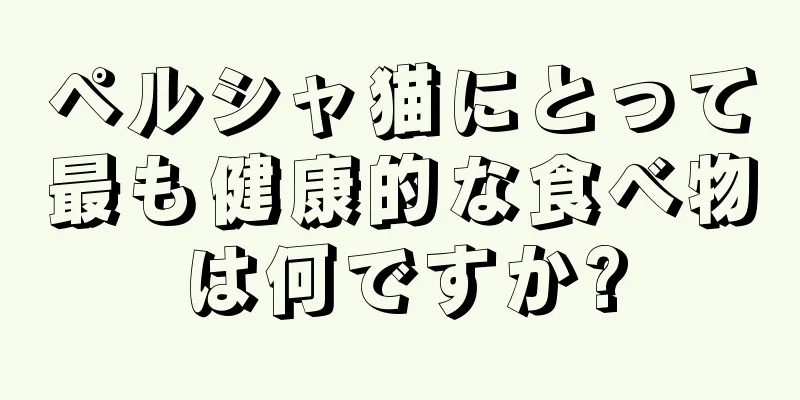 ペルシャ猫にとって最も健康的な食べ物は何ですか?