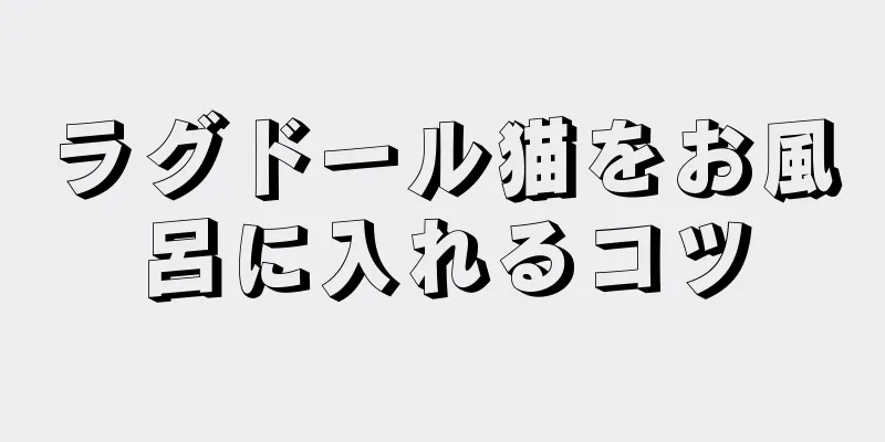 ラグドール猫をお風呂に入れるコツ