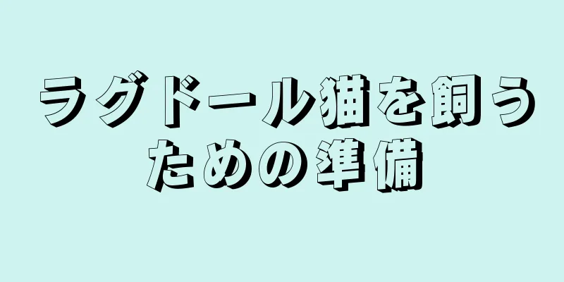 ラグドール猫を飼うための準備