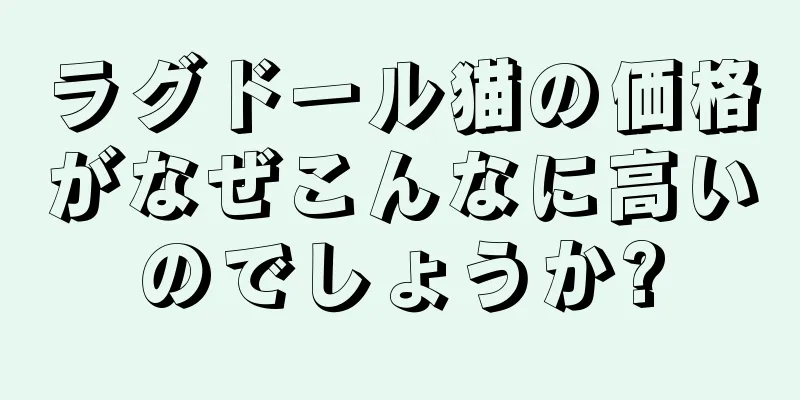 ラグドール猫の価格がなぜこんなに高いのでしょうか?