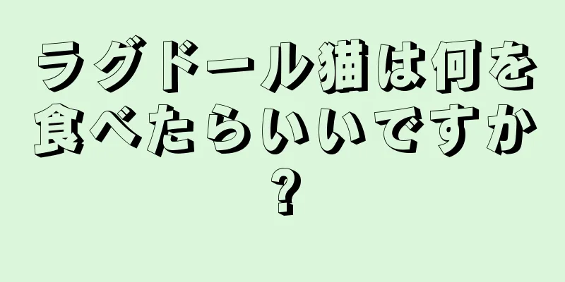 ラグドール猫は何を食べたらいいですか?