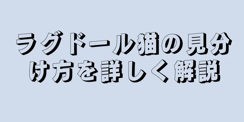 ラグドール猫の見分け方を詳しく解説