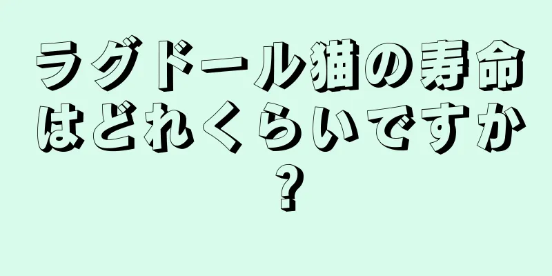 ラグドール猫の寿命はどれくらいですか？