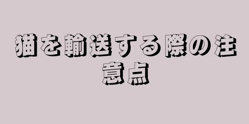 猫を輸送する際の注意点