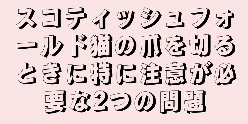 スコティッシュフォールド猫の爪を切るときに特に注意が必要な2つの問題