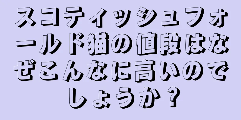 スコティッシュフォールド猫の値段はなぜこんなに高いのでしょうか？