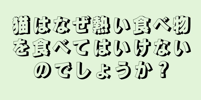 猫はなぜ熱い食べ物を食べてはいけないのでしょうか？