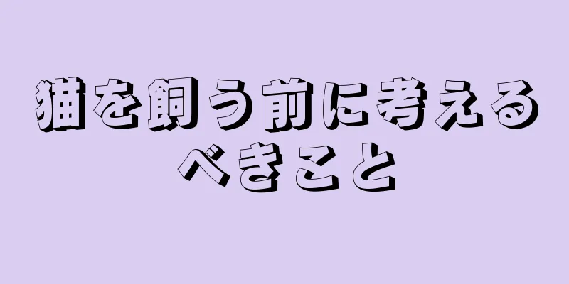 猫を飼う前に考えるべきこと