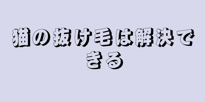 猫の抜け毛は解決できる